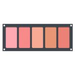 Blush palette