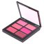 Ferrarucci The Glam Shine Pro Lip Palette 03