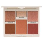 Cover FX Perfector Face Palette Light Medium